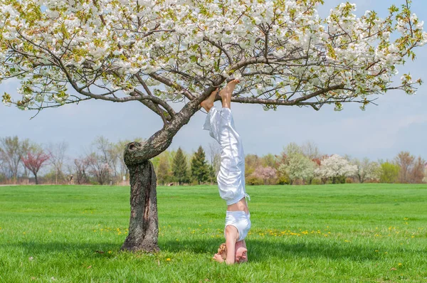 Femeia practică yoga, face exerciții de Salamba Sirsasana, stând în poziție în cap lângă copac — Fotografie, imagine de stoc