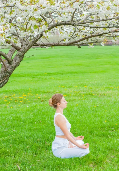 Красива жінка практикує йогу, сидячи в позі лотоса біля розквітлого дерева — стокове фото