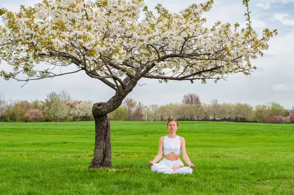 Hermosa mujer está practicando yoga sentado en pose de loto cerca del árbol de flores —  Fotos de Stock