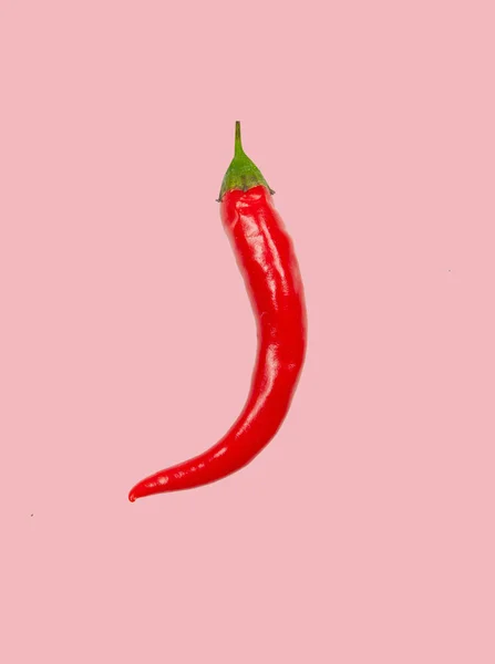 Fresh chili pepper on pink pastel background — Stock Photo, Image