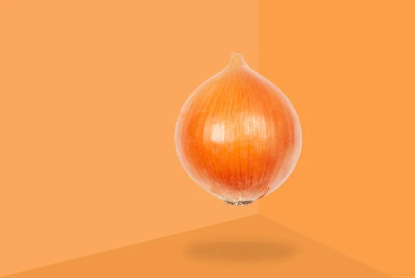 Cebola levitar no ar sobre fundo laranja. Conceito de levitação vegetal . — Fotografia de Stock