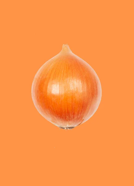 หัวหอมลอยในอากาศบนพื้นหลังสีส้ม แนวคิดของการลอยผัก . — ภาพถ่ายสต็อก