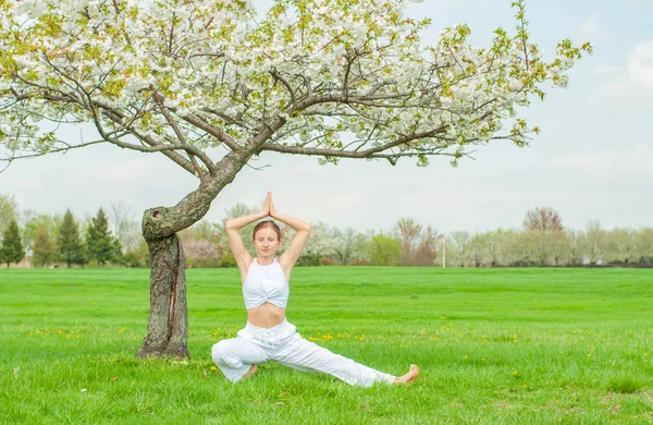 O tânără frumoasă practică yoga lângă copacul înflorit din parc . — Fotografie, imagine de stoc