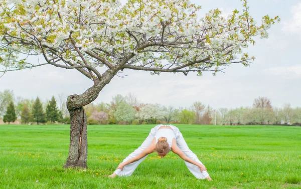 Красива молода жінка практикує йогу біля розквітлого дерева в парку . — стокове фото