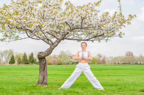 O tânără frumoasă practică yoga lângă copacul înflorit din parc . — Fotografie, imagine de stoc