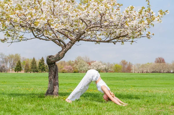 Женщина практикует йогу, делая Ардха Matsyendrasana позу около цветущего дерева — стоковое фото