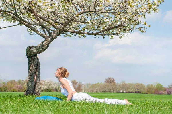 Femeia tânără practică yoga, face exerciții Cobra, pozează Bhujangasana — Fotografie, imagine de stoc