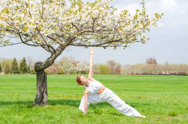 Красива жінка практикує йогу, роблячи Utthita Тріконана вправи, розширений трикутник позу біля дерева — стокове фото