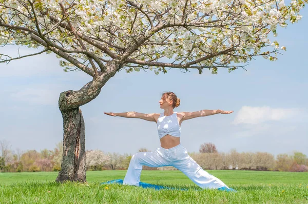 Femeia practică yoga, face exerciții Virabhadrasana, în picioare în Warrior pozează lângă copac — Fotografie, imagine de stoc