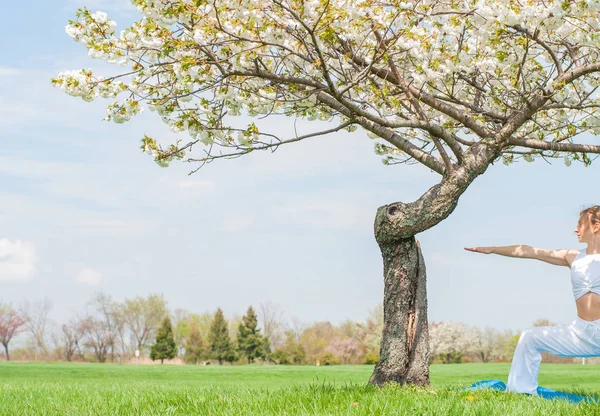 A nő jógázik, Virabhadrasana gyakorlatokat végez, harcos pózban áll a fa mellett. — Stock Fotó