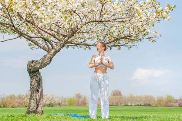 O tânără frumoasă practică yoga lângă copacul înflorit din parc . — Fotografie, imagine de stoc