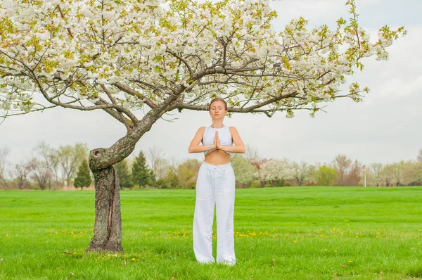 O tânără frumoasă practică yoga lângă copacul înflorit din parc . — Fotografie, imagine de stoc