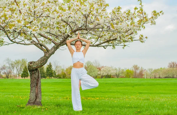 Femeia care meditează în copacul de yoga vrksasana pozează în parc — Fotografie, imagine de stoc