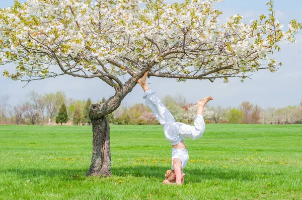 Женщина практикует йогу, делает упражнения Саламба Сирсасасана, стоя в позе стойки на голове возле дерева — стоковое фото
