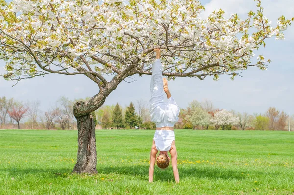 Femeia practică yoga, face exerciții Salamba Sirsasana, stând în picioare în poziție de mână lângă copac — Fotografie, imagine de stoc