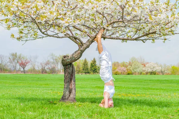 Femeia practică yoga, face exerciții de Salamba Sirsasana, stând în poziție în cap lângă copac — Fotografie, imagine de stoc