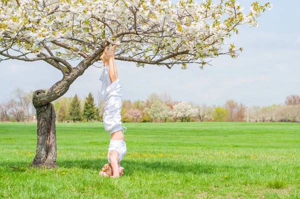 A nő jógázik, Salamba Sirsasana gyakorlatokat végez, fejen állva áll a fa mellett. — Stock Fotó
