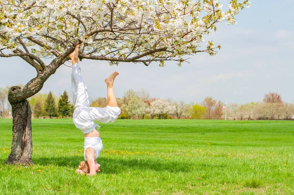 Femeia practică yoga, face exerciții de Salamba Sirsasana, stând în poziție în cap lângă copac — Fotografie, imagine de stoc