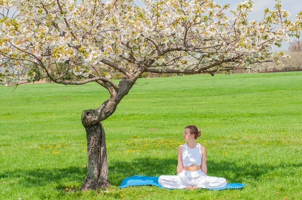 O femeie frumoasă practică yoga stând în Lotus pozând lângă copacul înflorit — Fotografie, imagine de stoc