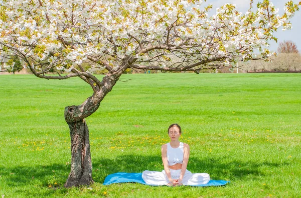 Красива жінка практикує йогу, сидячи в позі лотоса біля розквітлого дерева — стокове фото
