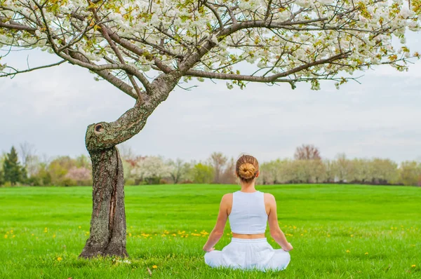 O femeie frumoasă practică yoga stând în Lotus pozând lângă copacul înflorit — Fotografie, imagine de stoc