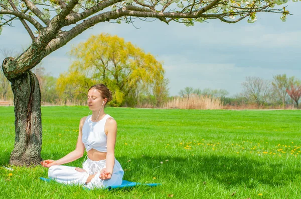 美丽的女人正在练习瑜伽坐在莲花姿势附近的开花树 — 图库照片