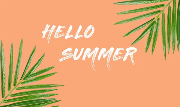 Banner da web de verão. Fundo de verão com letras Olá verão no fundo de coral — Fotografia de Stock