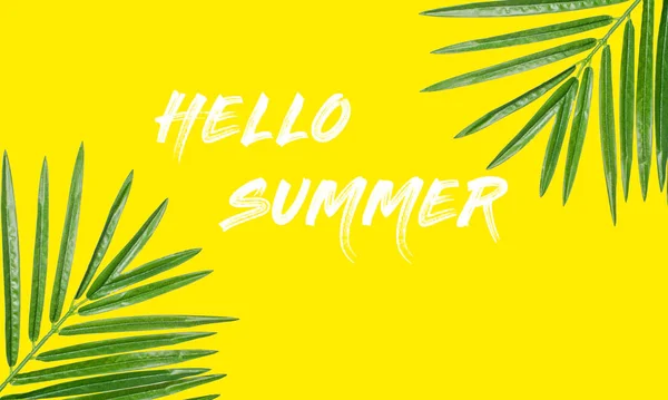 Webový nápis v létě. Letní pozadí s písmem Hello léto na žlutém pozadí — Stock fotografie