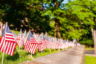 Anma Günü. Parkta yeşil çim üzerinde küçük Amerikan bayrakları. 