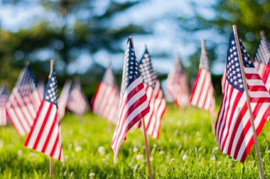 Anma Günü. Parkta yeşil çim üzerinde küçük Amerikan bayrakları. 