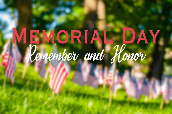 Memorial Day.  Small American flags on a green grass in park. — Stock Photo, Image