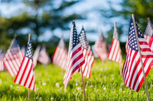 Día de los Caídos. Banderas americanas pequeñas en una hierba verde en el parque . — Foto de Stock