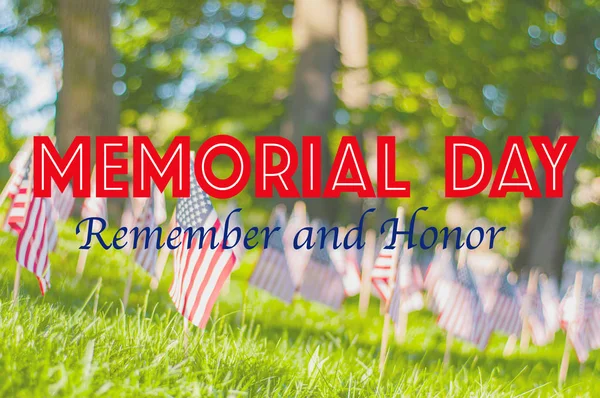 Memorial Day.  Small American flags on a green grass in park. — Stock Photo, Image