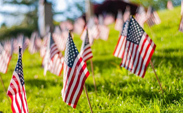 Memorial Day. Pequenas bandeiras americanas em uma grama verde no parque . — Fotografia de Stock