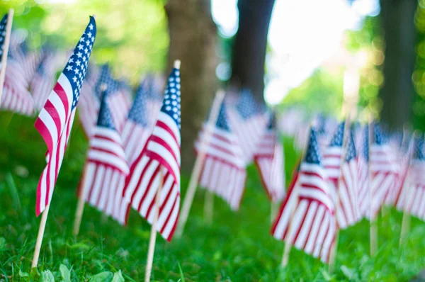 Banderas estadounidenses en el parque público como parte de la celebración del Día de los Caídos. Sin foco — Foto de Stock