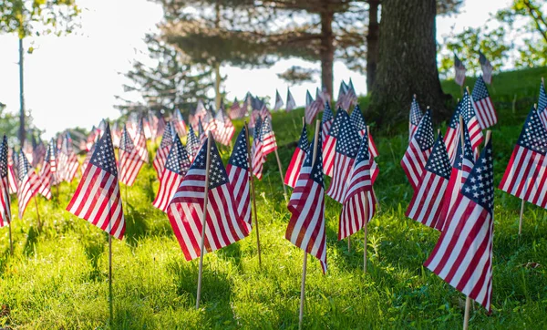 Día de los Caídos. Banderas americanas pequeñas en una hierba verde en el parque . — Foto de Stock