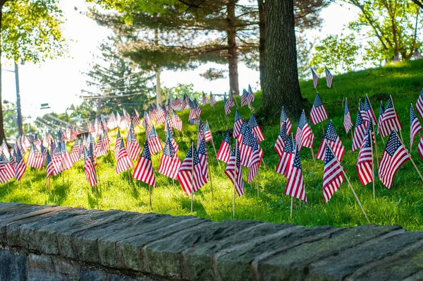 Memorial Day.  Small American flags on a green grass in park. — Stock Photo, Image