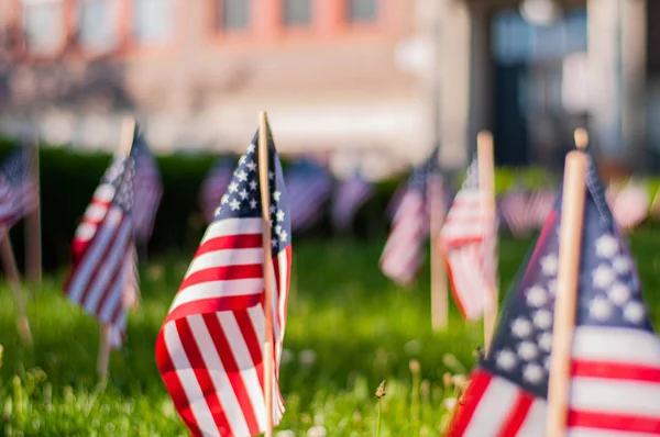 День памяти. Маленькие американские флаги на зеленой траве в парке . — стоковое фото