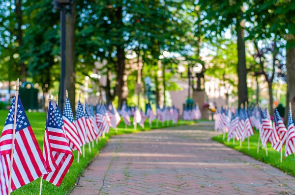 Amerykańskie flagi rozłożone na trawniku parku publicznego w ramach uroczystości Memorial Day. — Zdjęcie stockowe