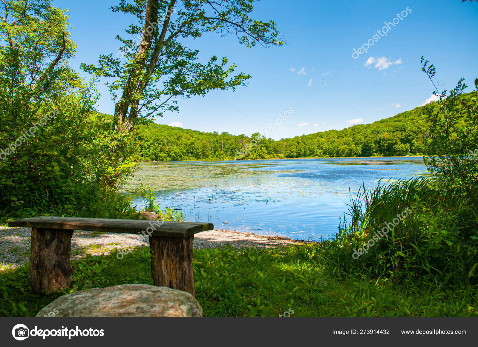Beautiful Forest Landscape Lake Old Bench On Lake Background Stock Photo Image By C Flisakd
