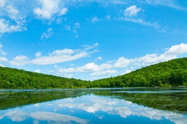 Peyzaj Gölü. Güzel vahşi doğa, orman. Güneşli gün ayna yansımaları ile göl. 