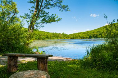 Güzel orman manzara Gölü. Göl arka planda eski tezgah 