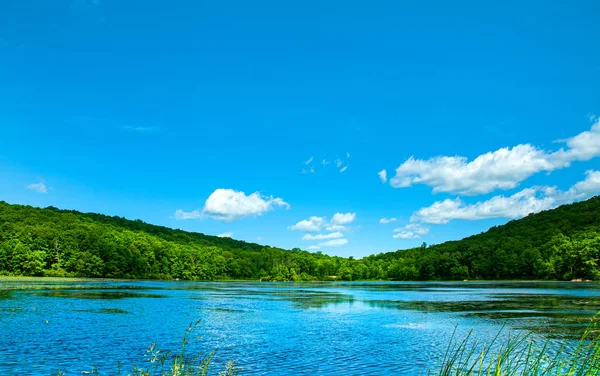 Landschaps meer. Prachtige wilde natuur, bos. Meer met spiegel reflecties op zonnige dag. — Stockfoto