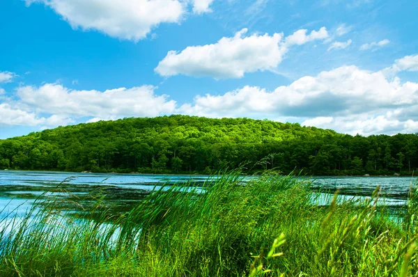 Landschaps meer. Prachtige wilde natuur, bos. — Stockfoto