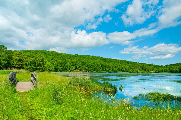 Landschaps meer en blauwe hemel. Prachtige wilde natuur, bos. Meer met kleine houten brug. — Stockfoto