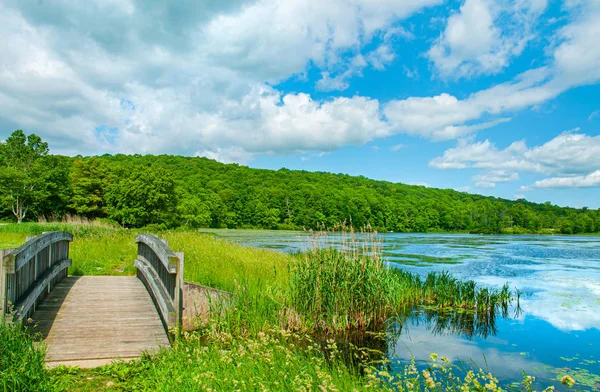 Landschaps meer en blauwe hemel. Prachtige wilde natuur, bos. Meer met kleine houten brug. — Stockfoto