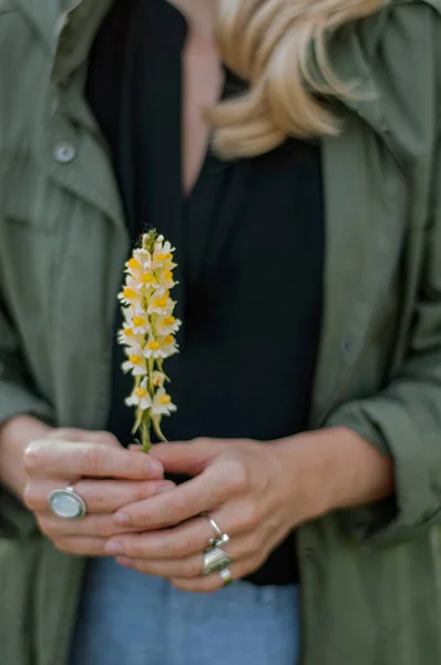 Belas mãos com anéis segurando flor. Mãos de mulher com acessórios boho elegantes. Sem foco — Fotografia de Stock