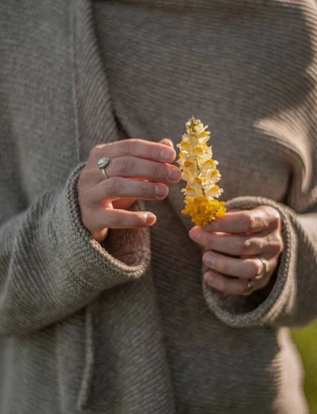 Smukke hænder med ringe holder blomst. Kvinders hænder med stilfuldt boho tilbehør. Ingen fokus - Stock-foto