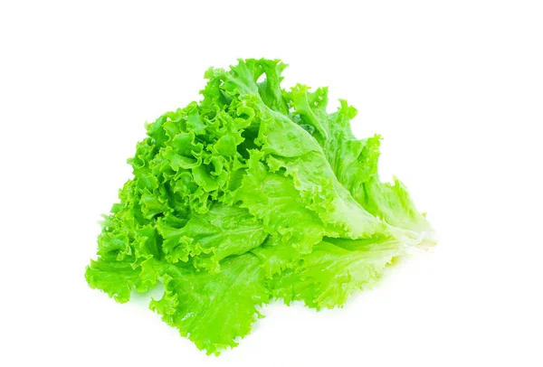 Lattuga. Foglia d'insalata. Foglie di lattuga fresca su sfondo bianco — Foto Stock