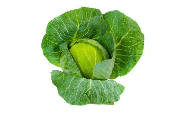 Green cabbage on white background — Stock Photo, Image